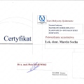 Powiększ obraz: certificate 9