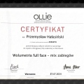Powiększ obraz: certificate 5