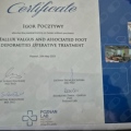 Powiększ obraz: certificate 8
