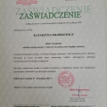 Powiększ obraz: certificate 3