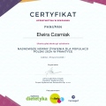 Powiększ obraz: certificate 13