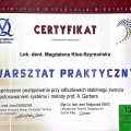 Powiększ obraz: certificate 13