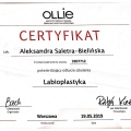 Powiększ obraz: certificate 1