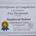 Powiększ obraz: certificate 9