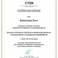 Powiększ obraz: certificate 15