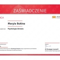 Powiększ obraz: certificate 3