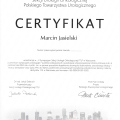 Powiększ obraz: certificate 7