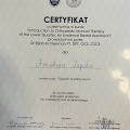 Powiększ obraz: certificate 13
