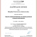 Powiększ obraz: certificate 1