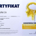 Powiększ obraz: certificate 14