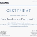 Powiększ obraz: certificate 13