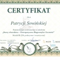 Powiększ obraz: certificate 11