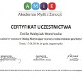 Powiększ obraz: certificate 19