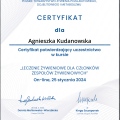 Powiększ obraz: certificate 43