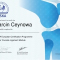 Powiększ obraz: certificate 2