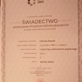Powiększ obraz: certificate 11