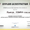 Powiększ obraz: certificate 13