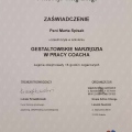 Powiększ obraz: certificate 16