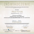 Powiększ obraz: certificate 26