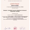 Powiększ obraz: certificate 35