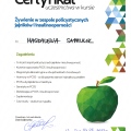 Powiększ obraz: certificate 28
