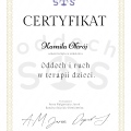Powiększ obraz: certificate 25