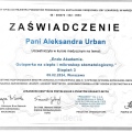 Powiększ obraz: certificate 3