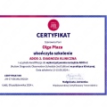 Powiększ obraz: certificate 2