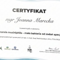 Powiększ obraz: certificate 5