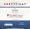 Powiększ obraz: certificate 291