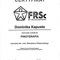 Powiększ obraz: certificate 6