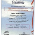 Powiększ obraz: certificate 9