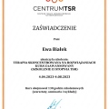 Powiększ obraz: certificate 1
