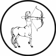 PRZYCHODNIA WETERYNARYJNA "CENTAUR"