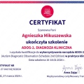 Powiększ obraz: certificate 1