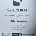 Powiększ obraz: certificate 5