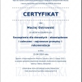 Powiększ obraz: certificate 1