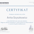 Powiększ obraz: certificate 3