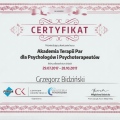 Powiększ obraz: certificate 2