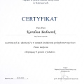 Powiększ obraz: certificate 13