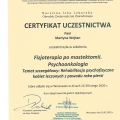 Powiększ obraz: certificate 11