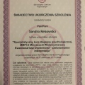 Powiększ obraz: certificate 7