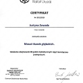 Powiększ obraz: certificate 3