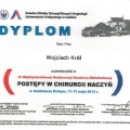 Powiększ obraz: certificate 8