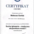 Powiększ obraz: certificate 2