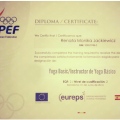 Powiększ obraz: certificate 4