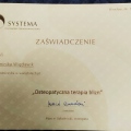 Powiększ obraz: certificate 4