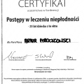 Powiększ obraz: certificate 1