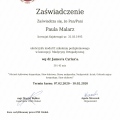 Powiększ obraz: certificate 9