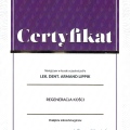 Powiększ obraz: certificate 9
